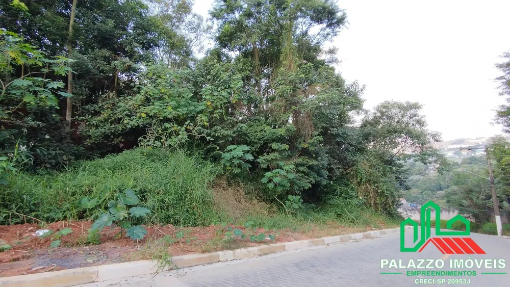 Terreno, 1 hectares - Foto 6