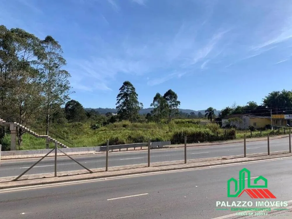Terreno, 4 hectares - Foto 9