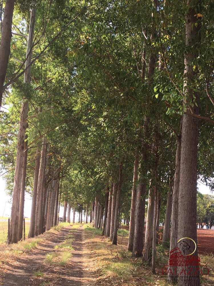 Terreno à venda, 650000m² - Foto 2