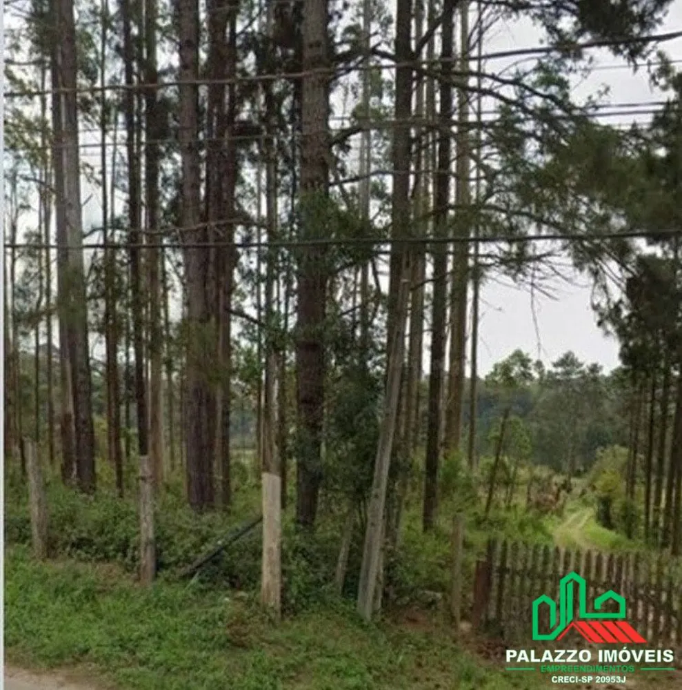 Terreno, 5 hectares - Foto 4