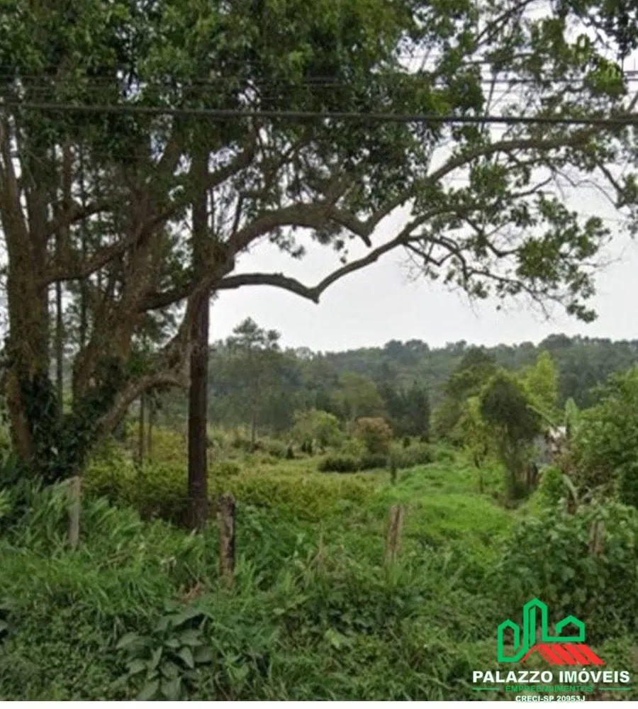 Terreno, 5 hectares - Foto 2