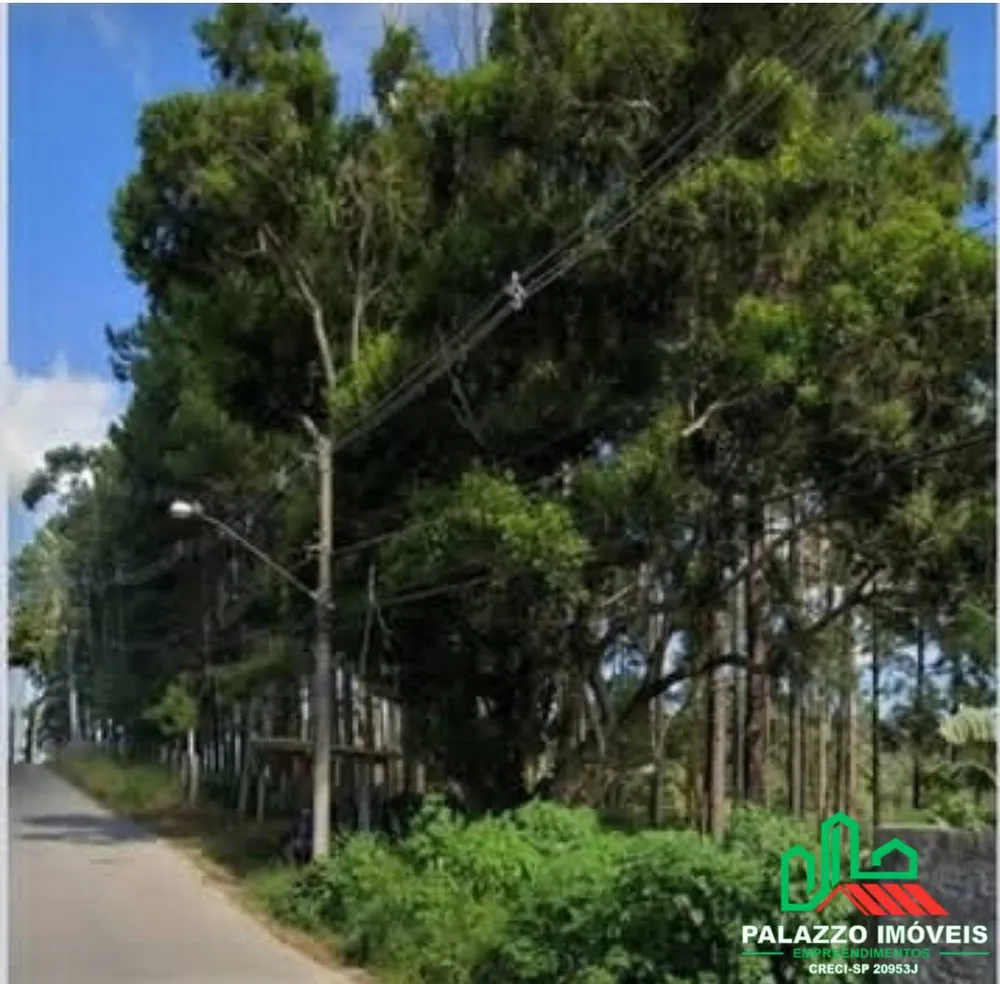 Terreno, 5 hectares - Foto 6