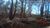 Terreno, 2 hectares - Foto 4