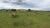 Terreno, 80 hectares - Foto 3