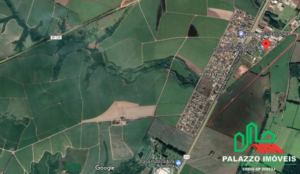 Terreno, 65 hectares - Foto 13