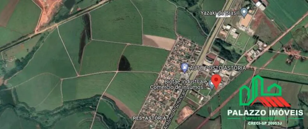 Terreno, 65 hectares - Foto 14