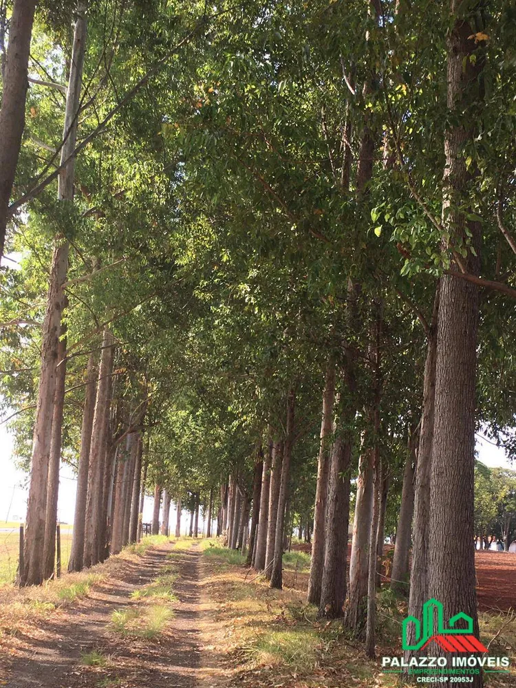 Terreno, 65 hectares - Foto 6