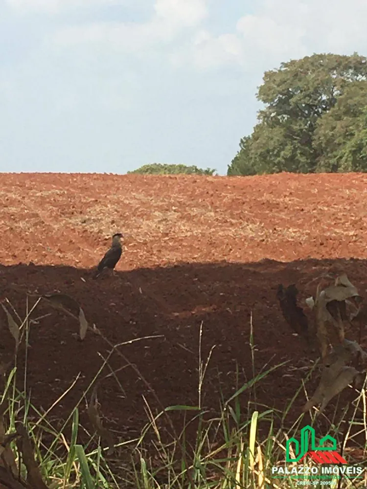 Terreno, 65 hectares - Foto 7