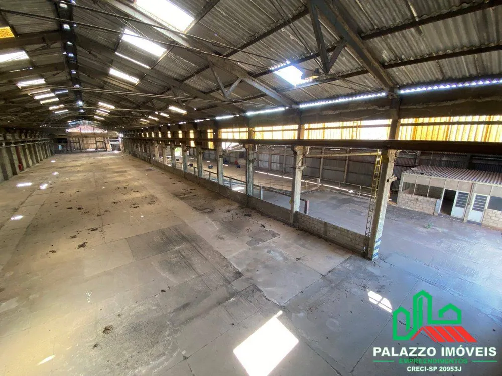 Terreno, 15 hectares - Foto 4