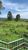 Terreno, 4 hectares - Foto 2