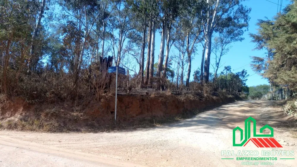 Terreno, 2 hectares - Foto 3