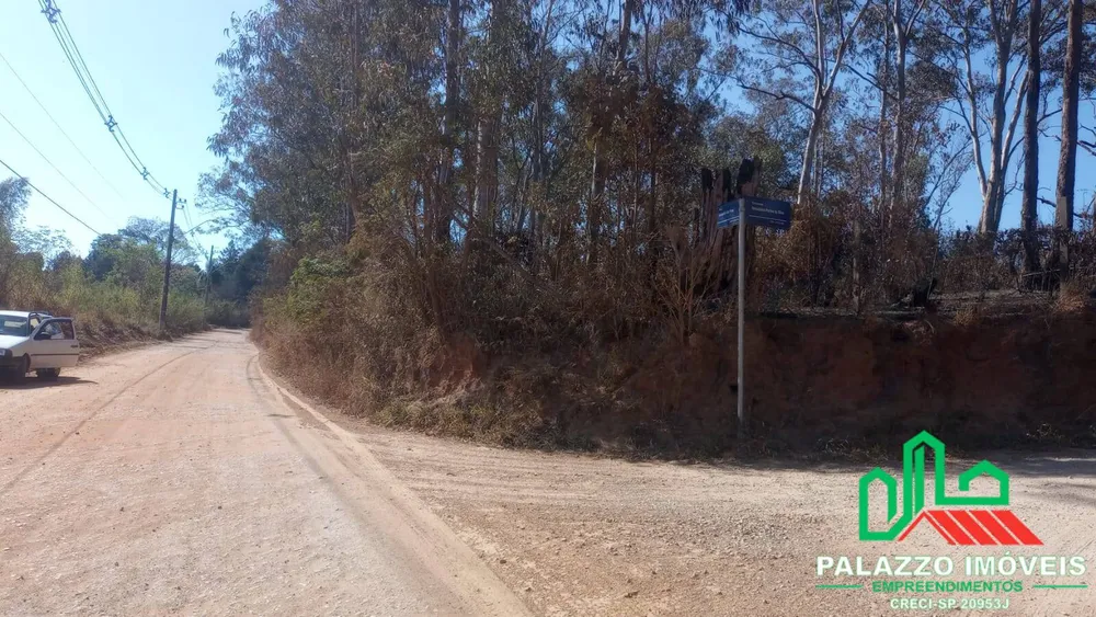 Terreno, 2 hectares - Foto 4