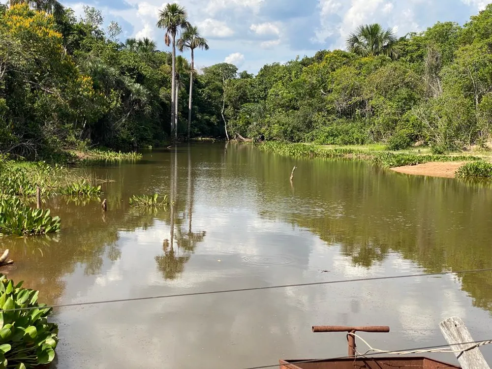 Fazenda, 7 quartos - Foto 5