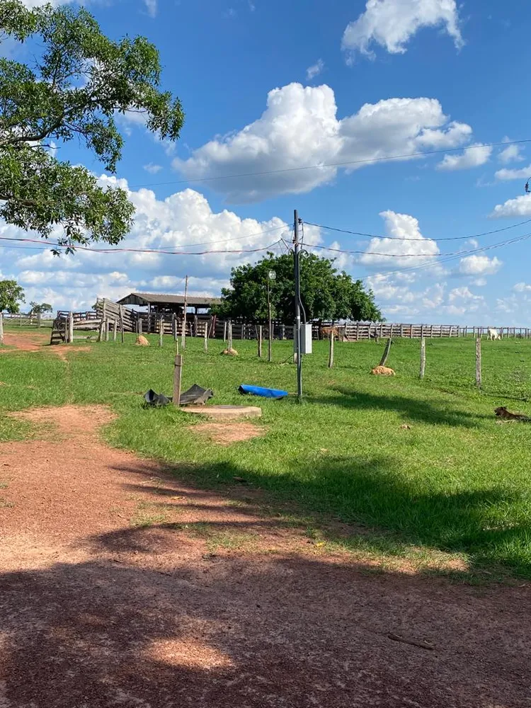 Fazenda, 7 quartos - Foto 7