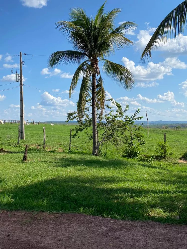 Fazenda à venda com 7 quartos, 2700m² - Foto 2