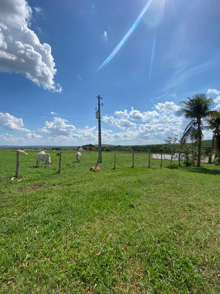 Fazenda à venda com 7 quartos, 2700m² - Foto 1