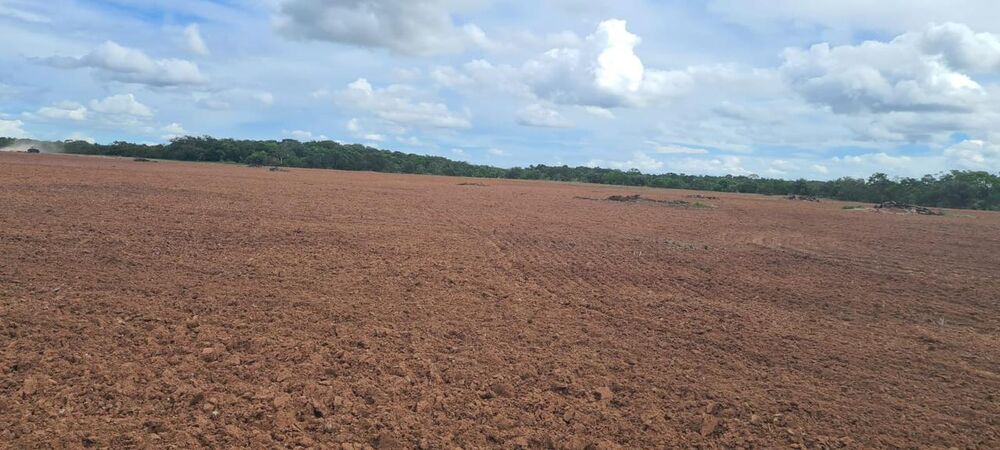 Fazenda - Foto 3