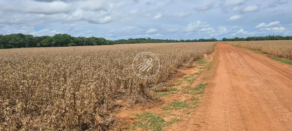 Fazenda - Foto 4