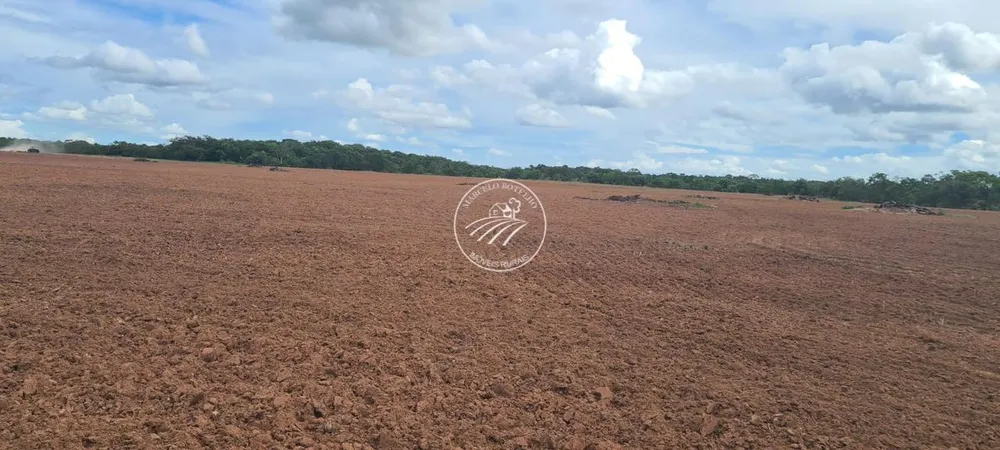 Fazenda - Foto 5