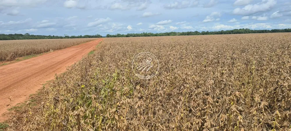 Fazenda - Foto 6