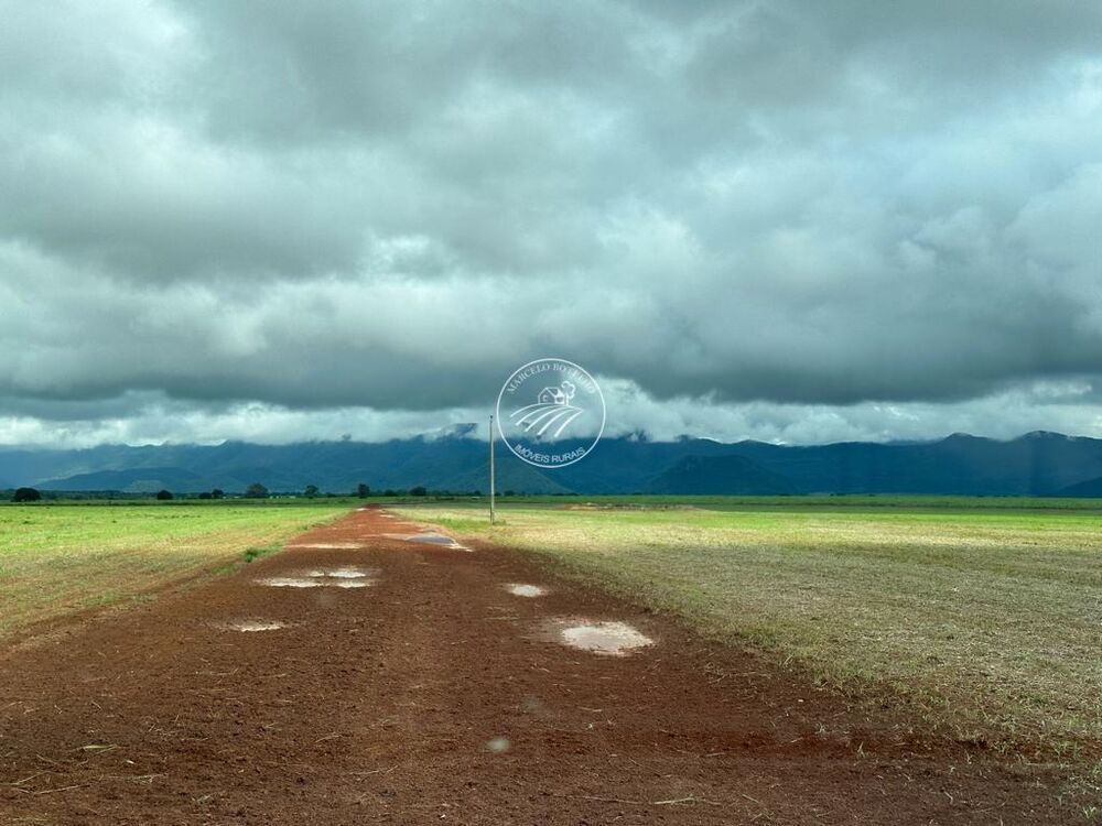 Fazenda - Foto 2