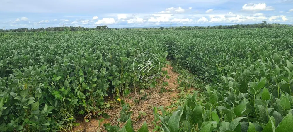 Fazenda - Foto 2