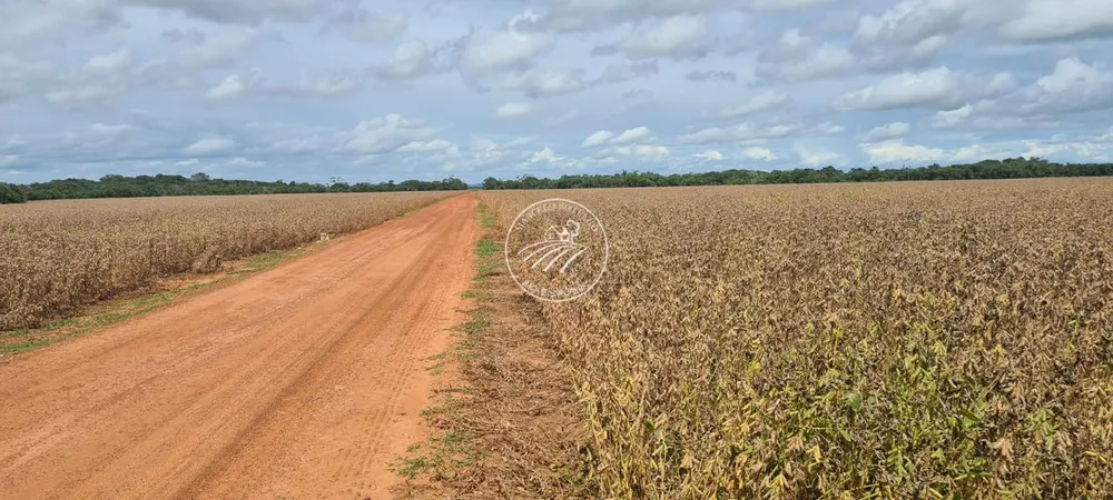 Fazenda - Foto 8