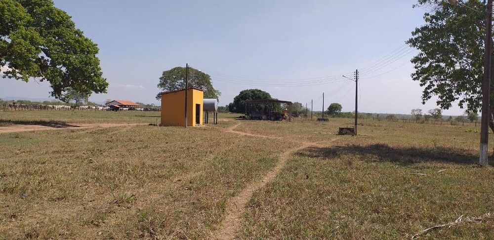 Fazenda - Foto 12