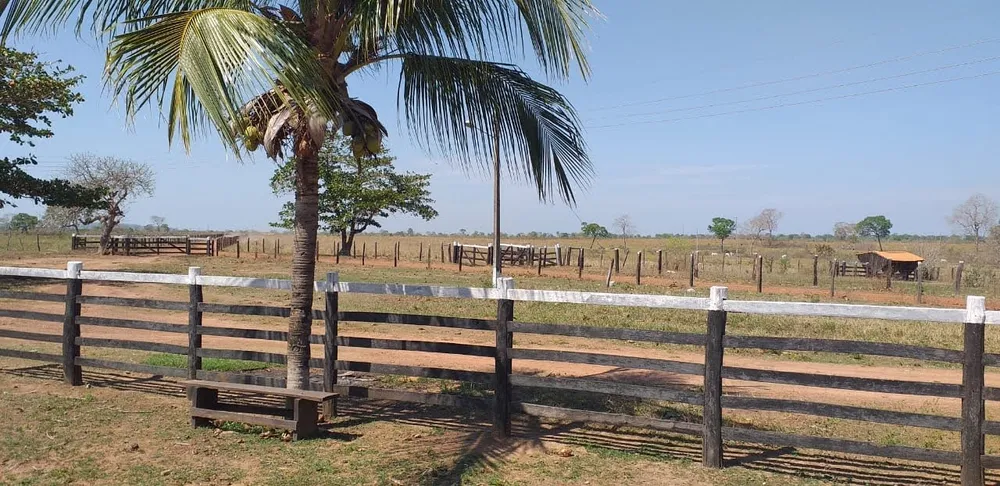 Fazenda - Foto 9