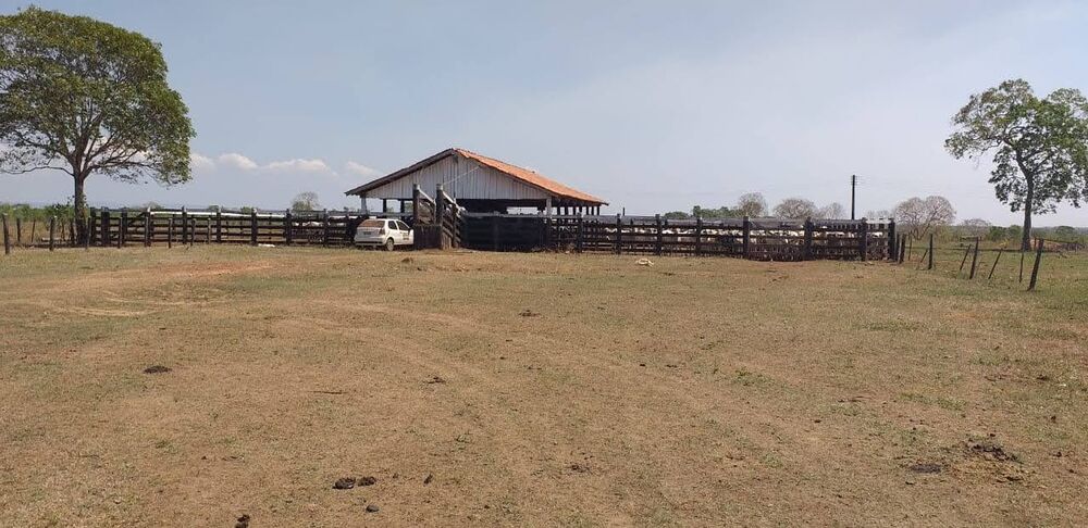 Fazenda - Foto 9