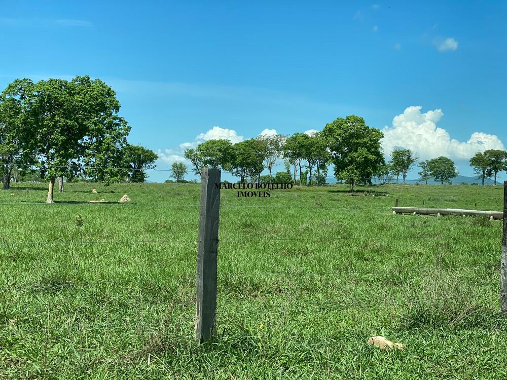 Fazenda à venda, 1126m² - Foto 6