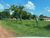 Fazenda-Sítio-Chácara - Foto 5