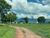 Fazenda-Sítio-Chácara - Foto 7