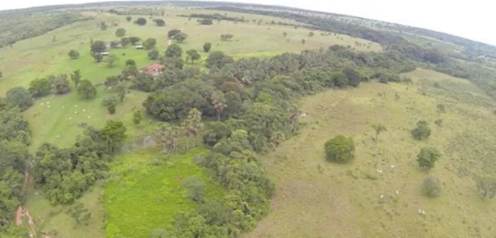Fazenda - Foto 5