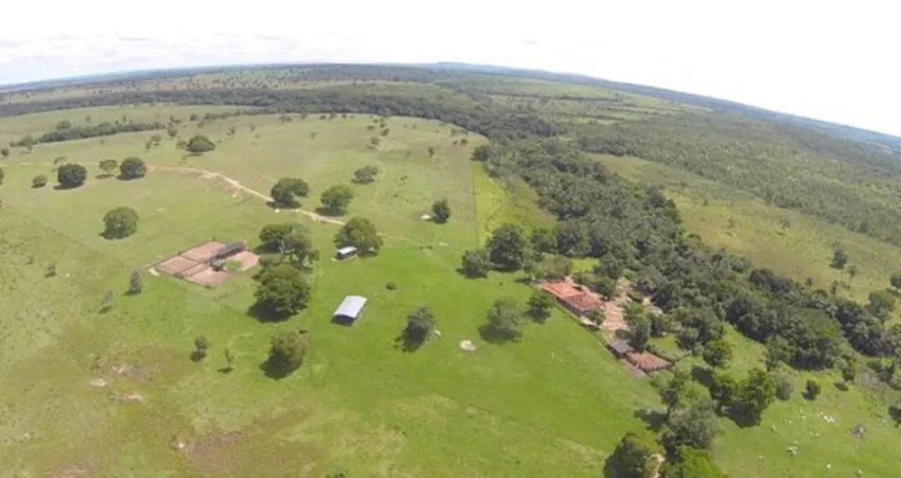 Fazenda - Foto 5