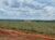 Fazenda-Sítio-Chácara - Foto 4