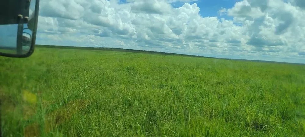 Fazenda à venda com 9 quartos, 9600m² - Foto 2