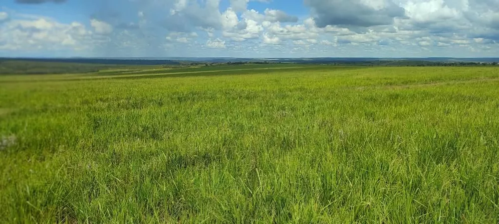 Fazenda à venda com 9 quartos, 9600m² - Foto 3