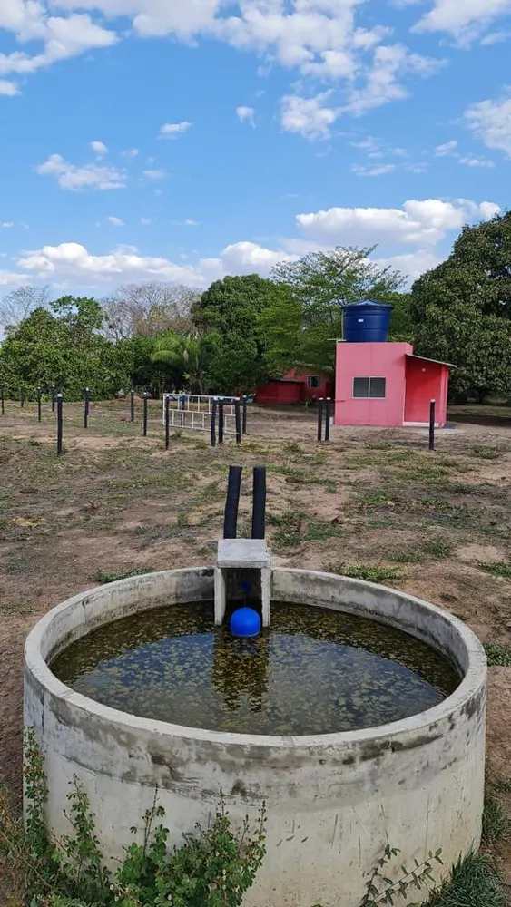 Fazenda à venda com 3 quartos, 35m² - Foto 2