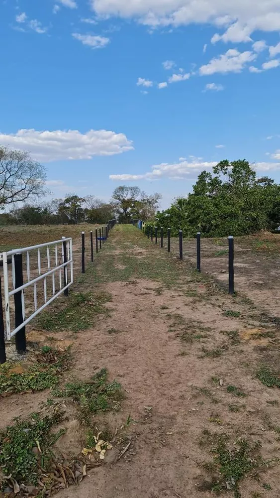 Fazenda à venda com 3 quartos, 35m² - Foto 3