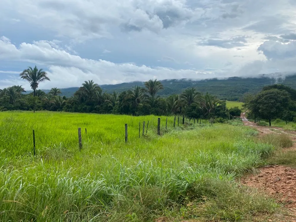 Fazenda, 7 quartos - Foto 6