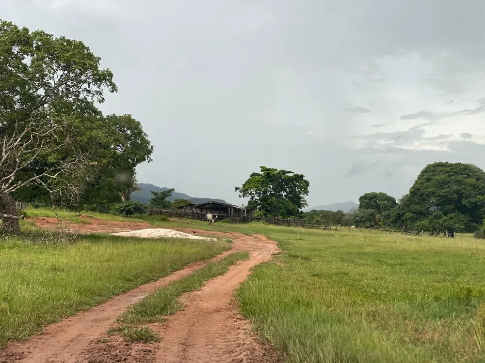 Fazenda, 7 quartos - Foto 8