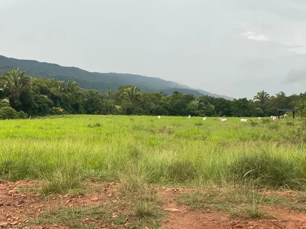 Fazenda, 7 quartos - Foto 5