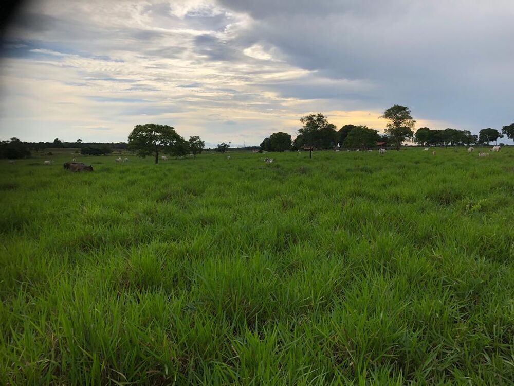 Fazenda à venda com 4 quartos, 378m² - Foto 6