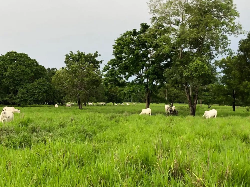 Fazenda à venda com 4 quartos, 378m² - Foto 3