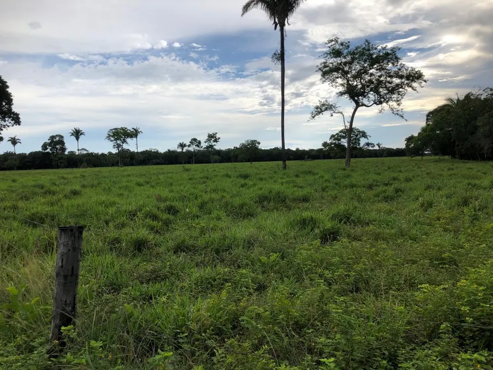 Fazenda, 4 quartos - Foto 17