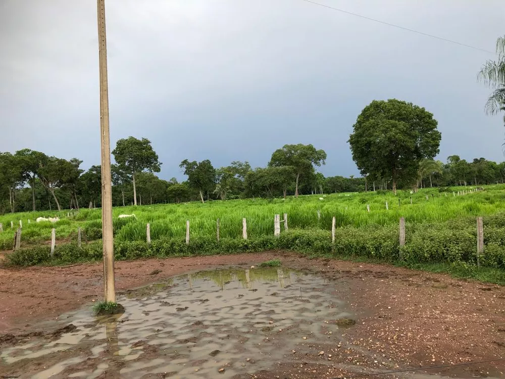 Fazenda à venda com 4 quartos, 378m² - Foto 4