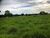 Fazenda, 4 quartos - Foto 5