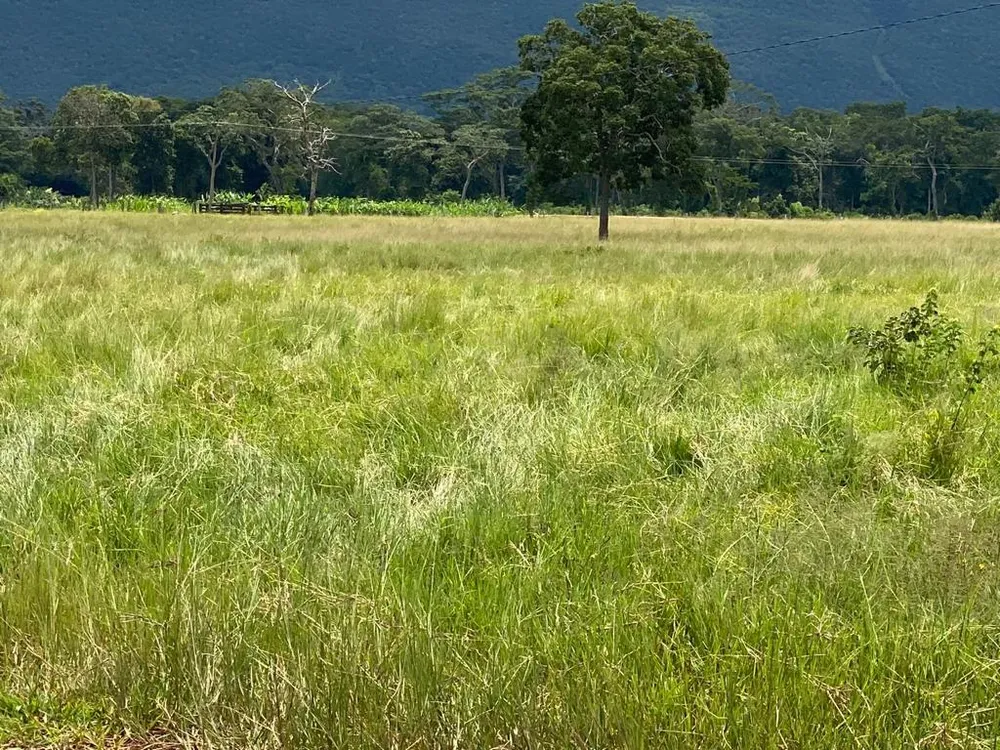 Fazenda - Foto 16