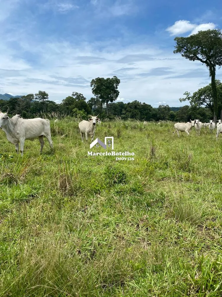 Fazenda - Foto 5